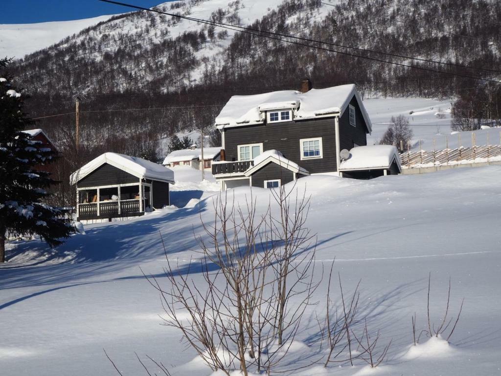 Apartment Between Ustaoset And Geilo Dış mekan fotoğraf
