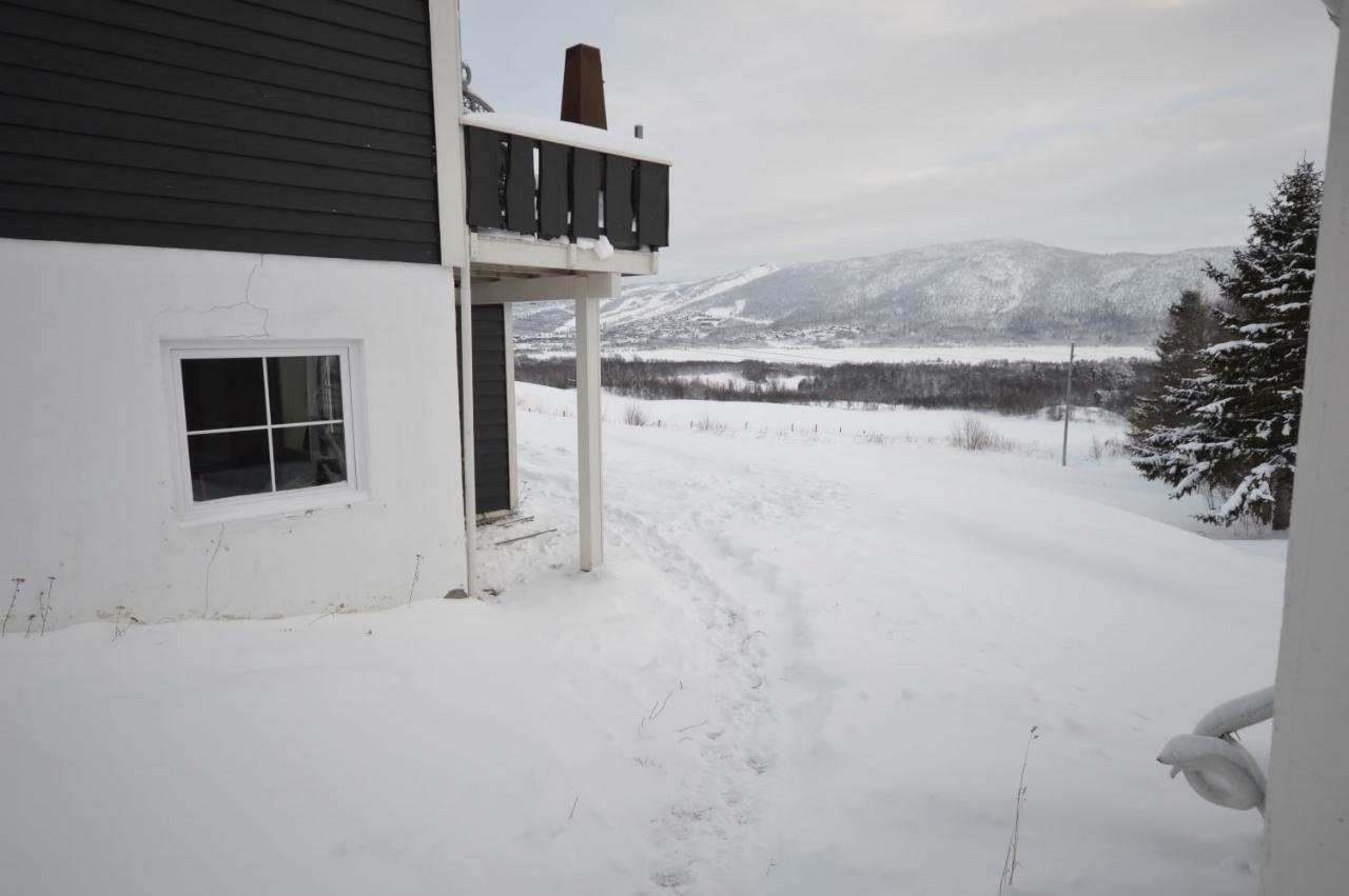 Apartment Between Ustaoset And Geilo Dış mekan fotoğraf